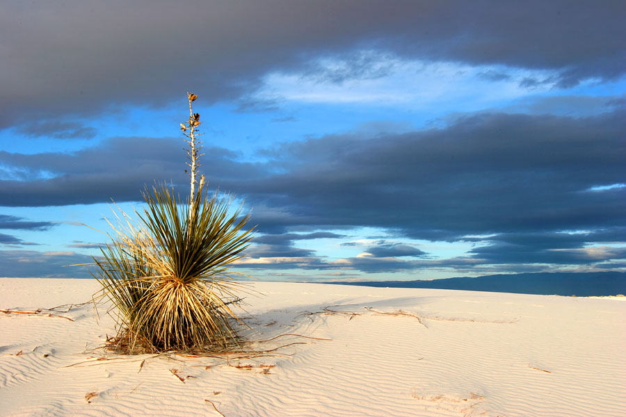 photo "Before Sunset" tags: landscape, travel, North America, sunset