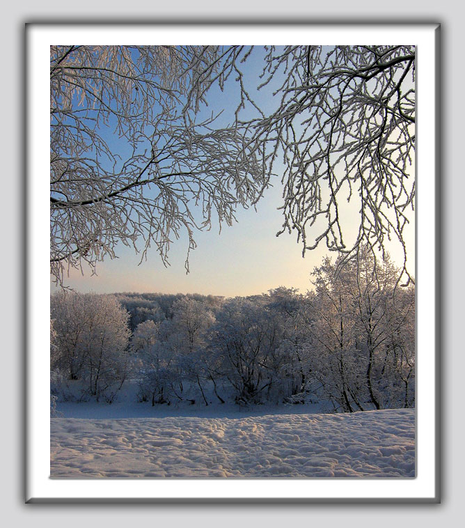 photo "Winter fairy tale!!!" tags: landscape, forest, winter