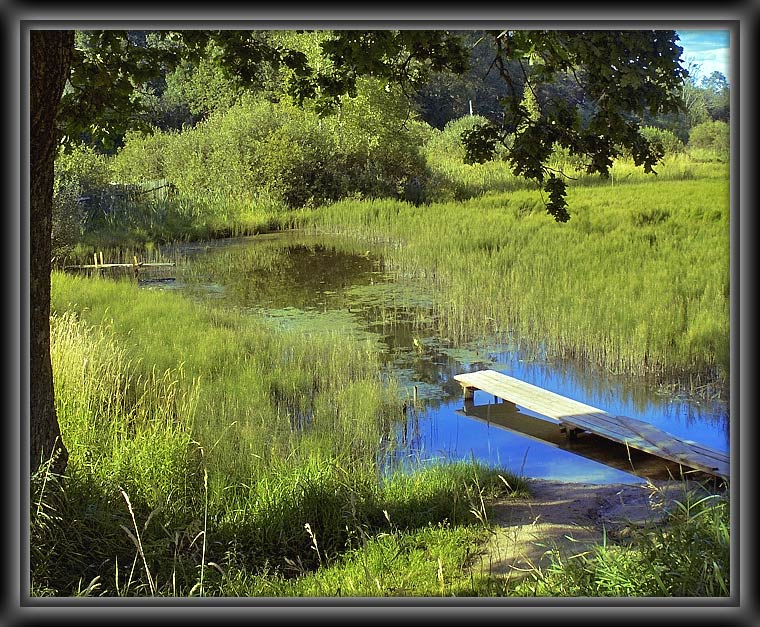 photo "***" tags: landscape, summer, water