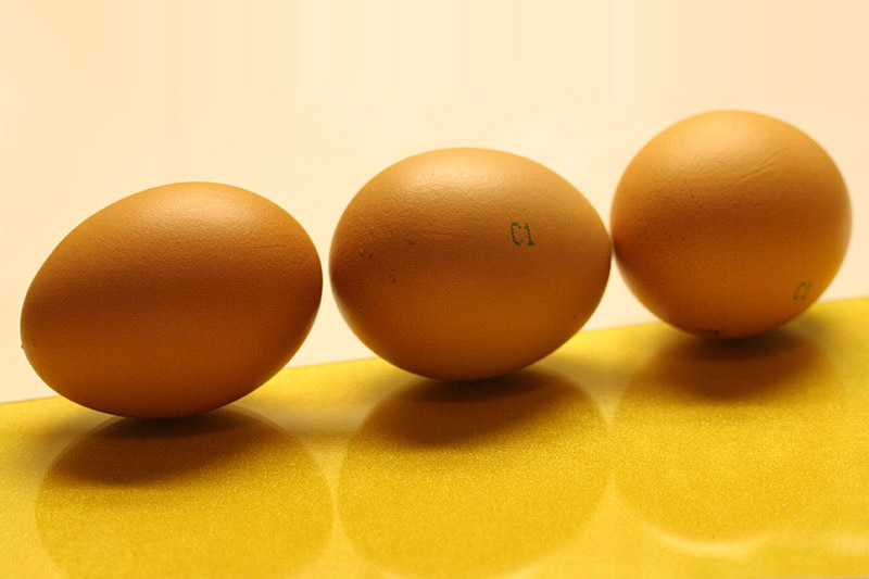 photo "prime plate" tags: still life, 