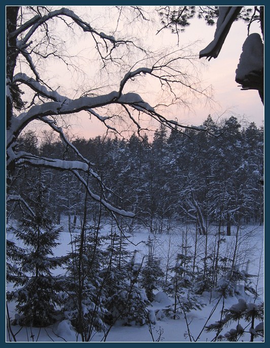photo "Winter's sentry." tags: landscape, winter