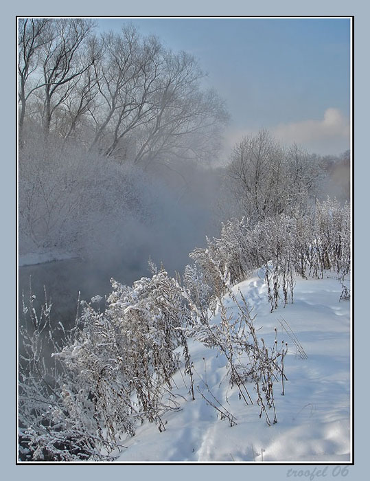 фото "Зимнее...нелюбимое-4" метки: пейзаж, зима, лес