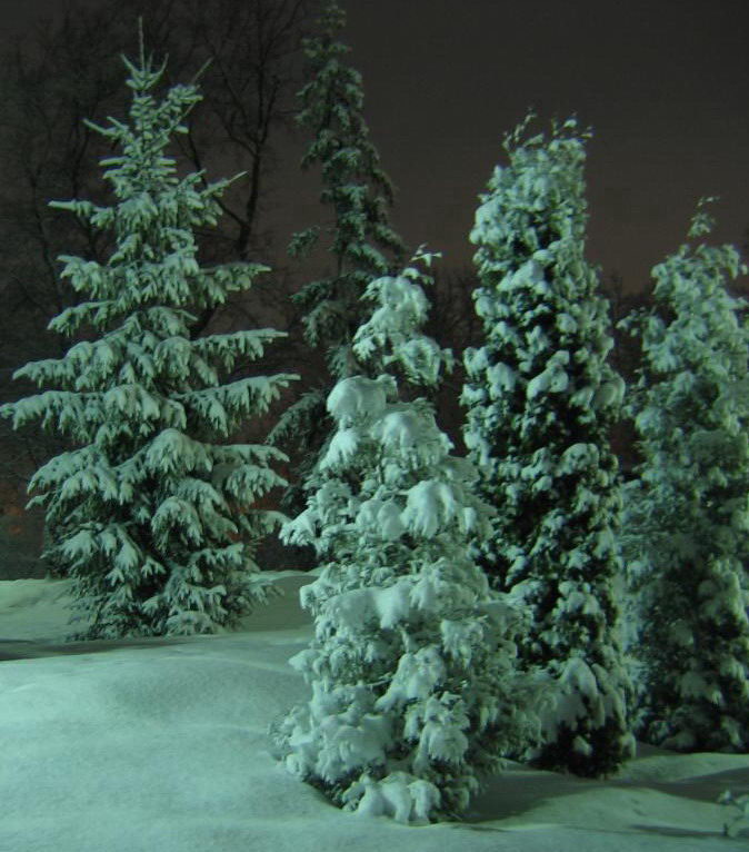 photo "***" tags: landscape, winter
