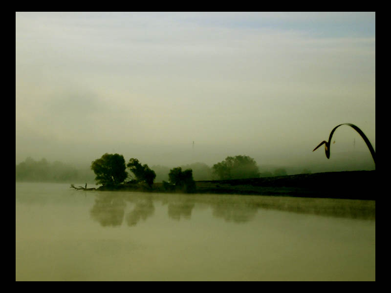 фото "Fog... Morning... Sleep..." метки: пейзаж, природа, вода