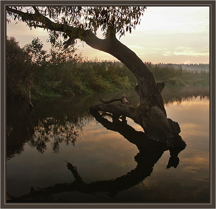 photo "Meeting the sun" tags: landscape, autumn, sunset