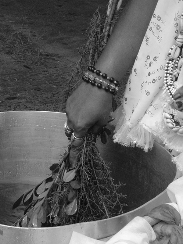 photo "Agua de cheiro" tags: travel, 