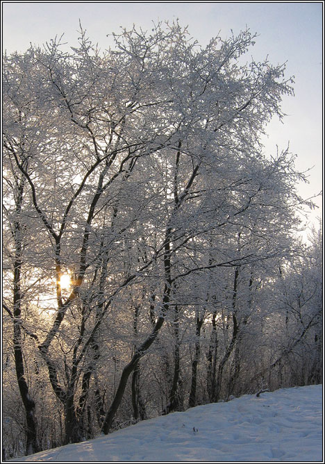 фото "Кудрявая  Зима!!!" метки: пейзаж, зима, облака