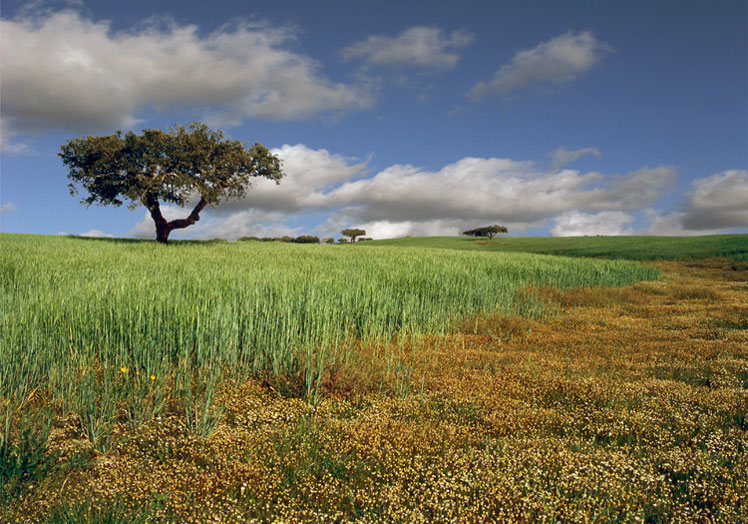 photo "Spring time" tags: landscape, spring