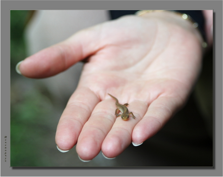 photo "Here such baby!" tags: genre, macro and close-up, 