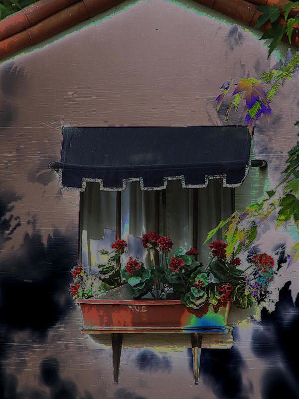 photo "Flower Box" tags: montage, 
