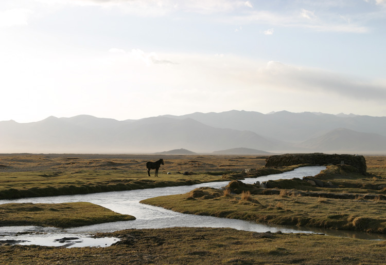 photo "tibet series" tags: , 
