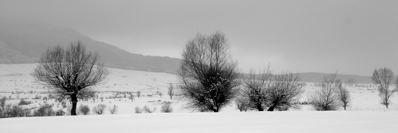 photo ""Зима"/Wintetr" tags: landscape, winter