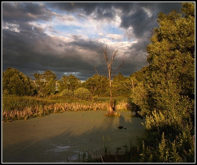 photo "***" tags: landscape, summer