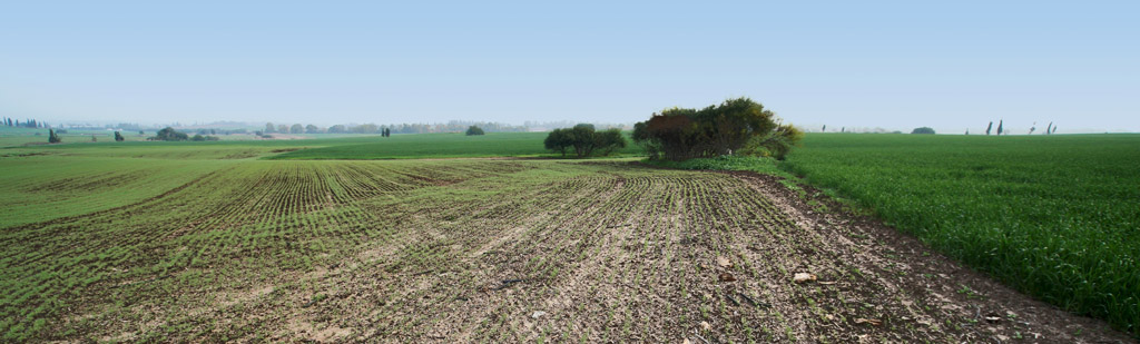 photo "Green Fields" tags: landscape, panoramic, spring