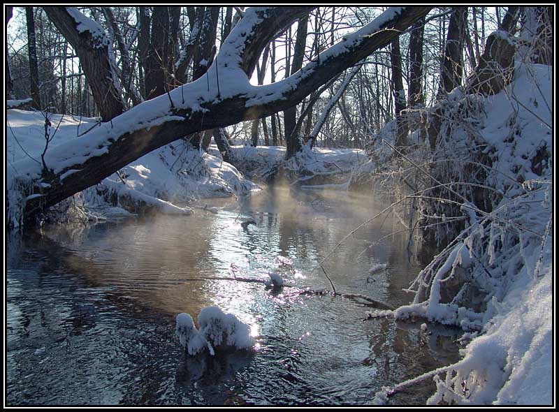 фото "Зимний ручей" метки: пейзаж, вода, зима