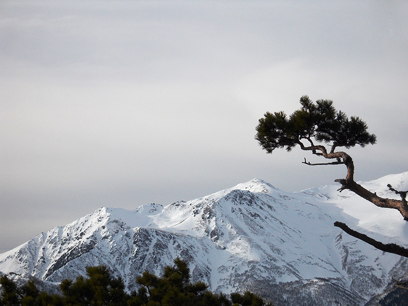 photo "..." tags: landscape, mountains