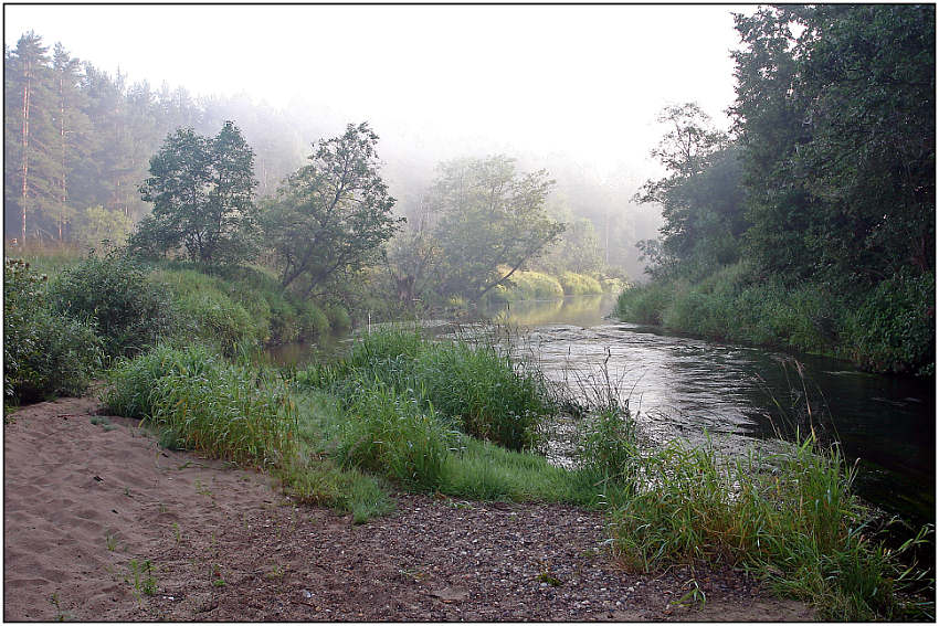 фото "Туман отступает" метки: пейзаж, вода, лес