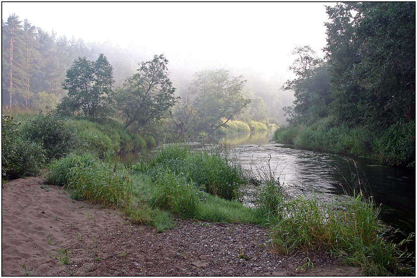 photo "The fog recedes" tags: landscape, forest, water