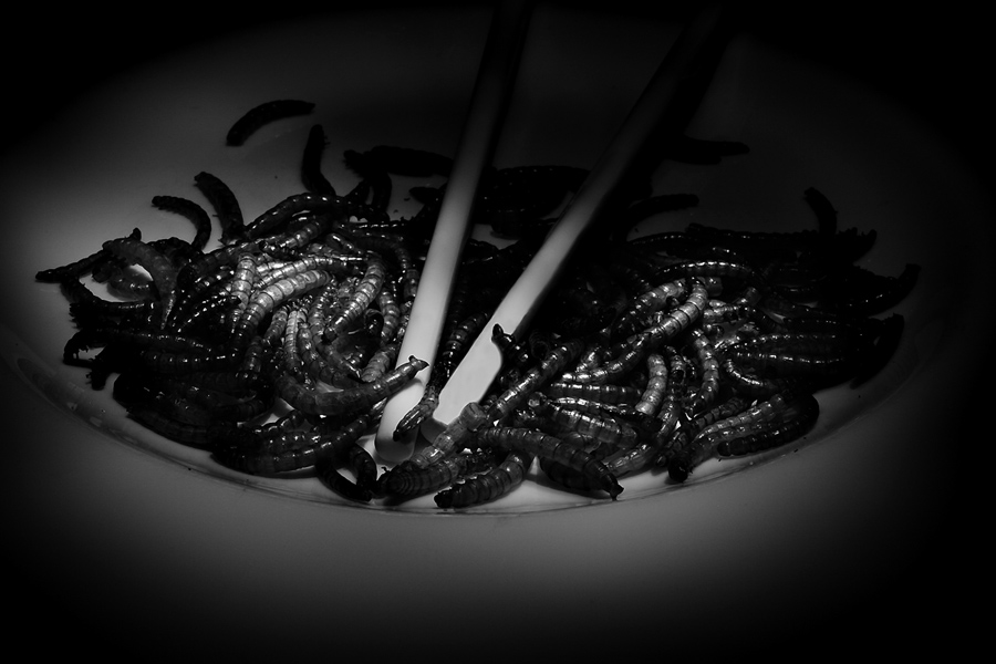 фото "its not noodles is it" метки: натюрморт, разное, 