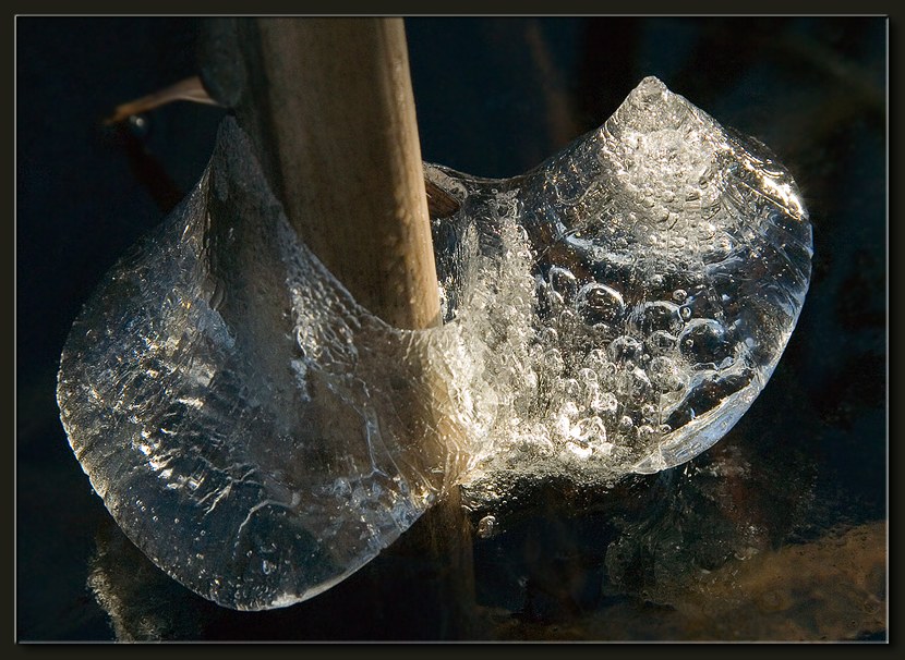photo "Ice Structure" tags: nature, 