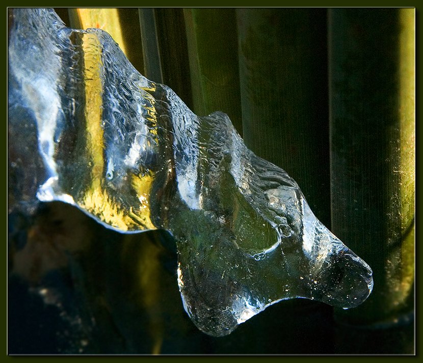 photo "Ice Silhouette" tags: nature, 