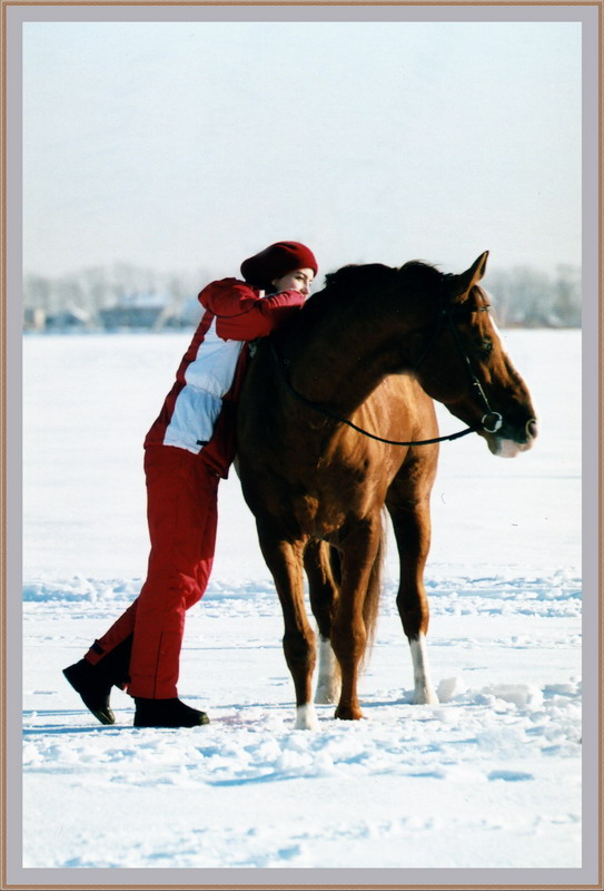 фото "Лошадиное счастье" метки: пейзаж, природа, домашние животные, зима