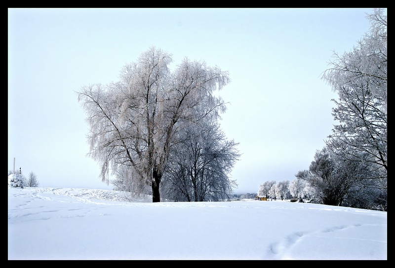 photo "Winter morning" tags: landscape, winter