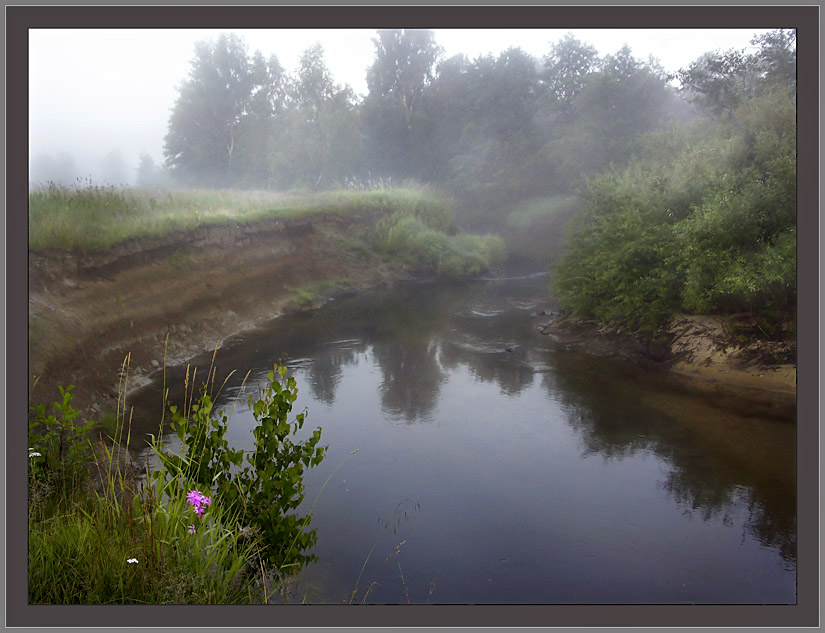 photo "The middle of summer" tags: landscape, summer, water