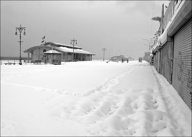 photo "The Blizzard of 2006." tags: landscape, black&white, winter