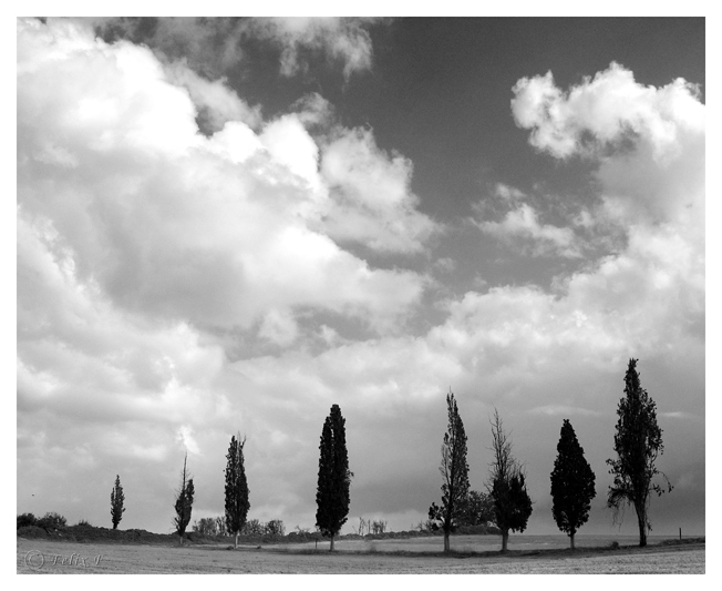 photo "Winter Day #2" tags: landscape, clouds, winter