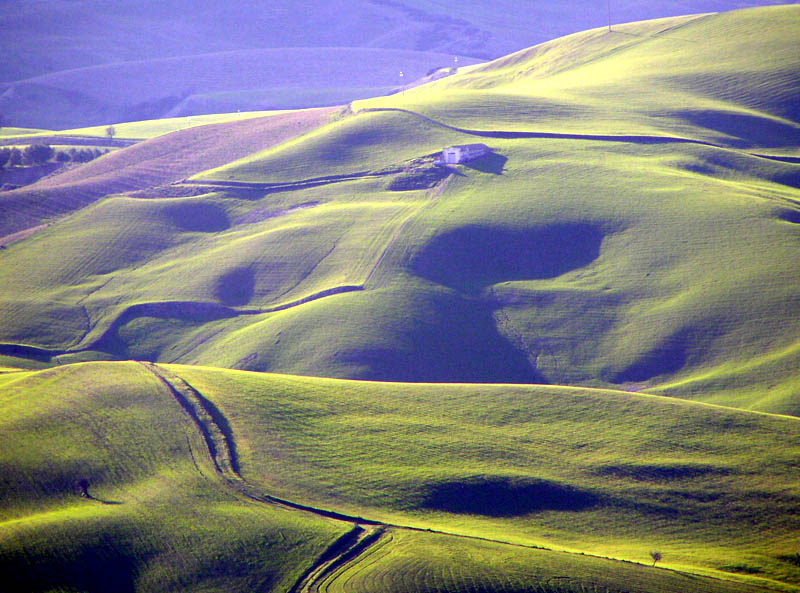 фото "Sown Land" метки: пейзаж, 