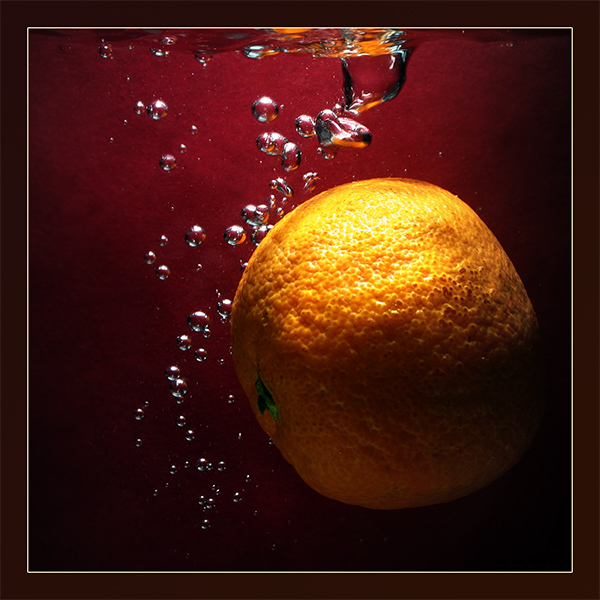photo "Sun orange" tags: macro and close-up, underwater, 