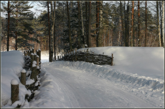 photo "***" tags: landscape, forest, winter