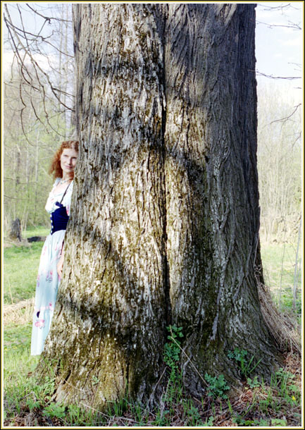 photo "Old linden" tags: nature, portrait, flowers, woman