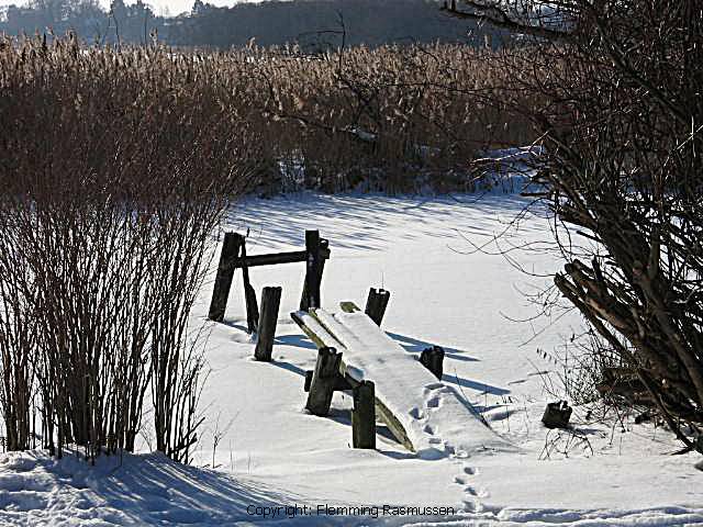 фото "Winter nature" метки: природа, 