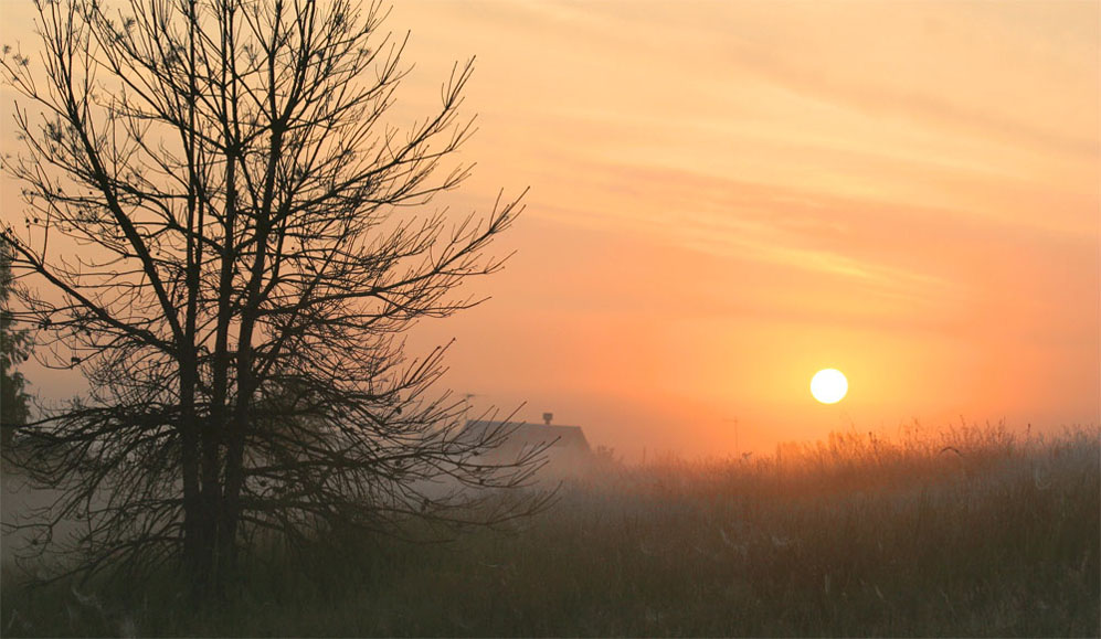 photo "Behind a fog" tags: landscape, sunset