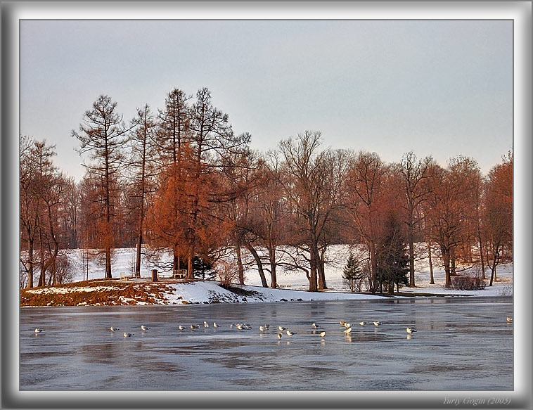 фото "У замерзшего пруда" метки: пейзаж, вода, зима
