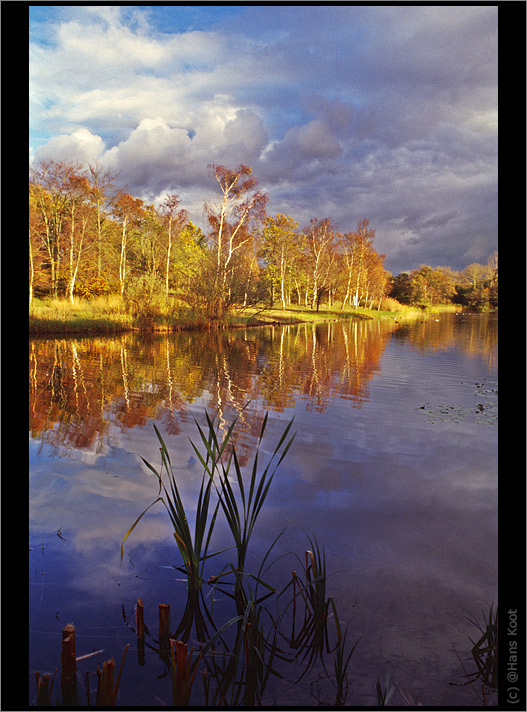 фото "Lake Tenella" метки: пейзаж, вода, лес