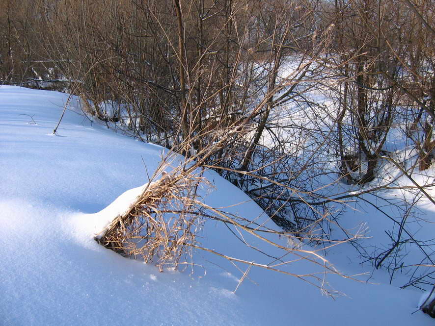 photo "***" tags: landscape, nature, winter