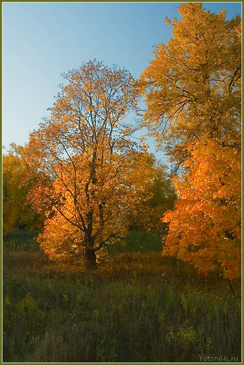 photo "Autumn" tags: landscape, misc., autumn