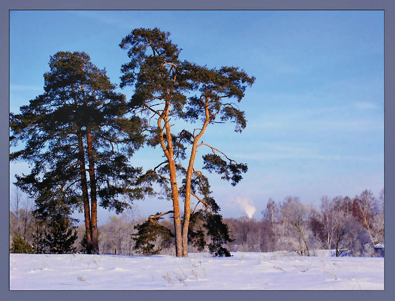 фото "Солнечный денек-2" метки: пейзаж, зима, лес
