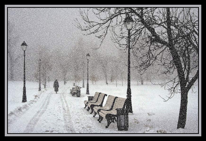 фото "Прогулка во время снегопада" метки: пейзаж, зима