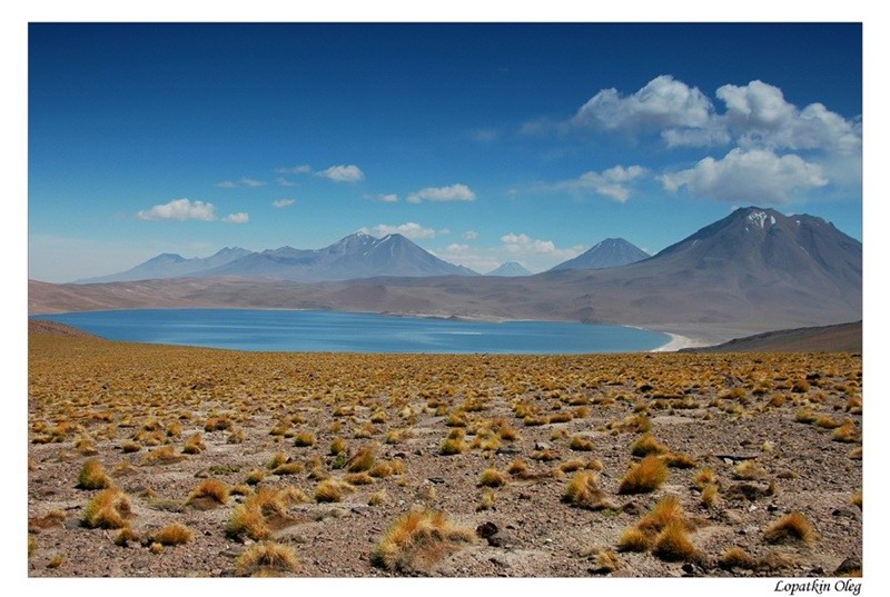 фото "Laguna Miscanti, Chile" метки: пейзаж, путешествия, Южная Америка, горы