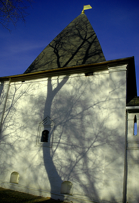 photo "tree" tags: architecture, landscape, autumn