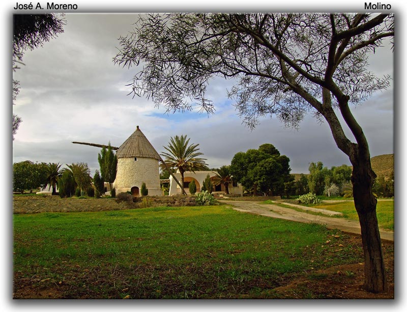 photo "Old mill" tags: architecture, landscape, 