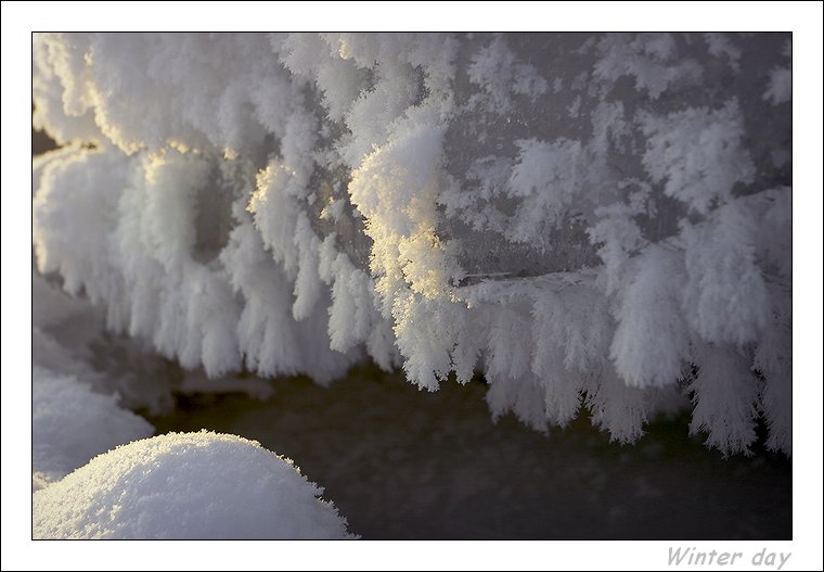 фото "зимняя зарисовка" метки: природа, макро и крупный план, 