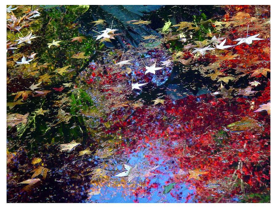 фото "Fall Abstract" метки: абстракция, пейзаж, осень