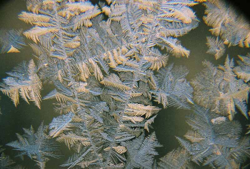 photo "frost" tags: abstract, macro and close-up, 