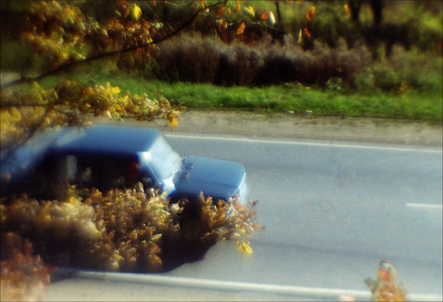 photo "It is impossible to escape from autum..." tags: landscape, nature, autumn, flowers