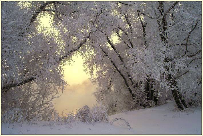 photo "***" tags: landscape, forest, winter